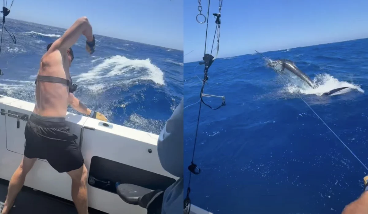 High-Stakes Angling: Viral Footage Captures Intense Battle with Blue Marlin Amidst Tempestuous Sea Conditions