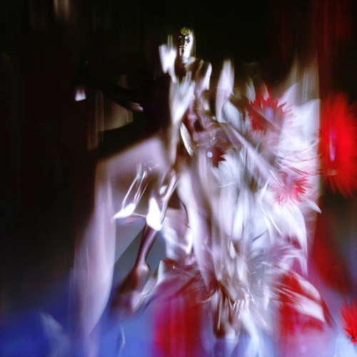 Polygonia – Ceaseless Motion