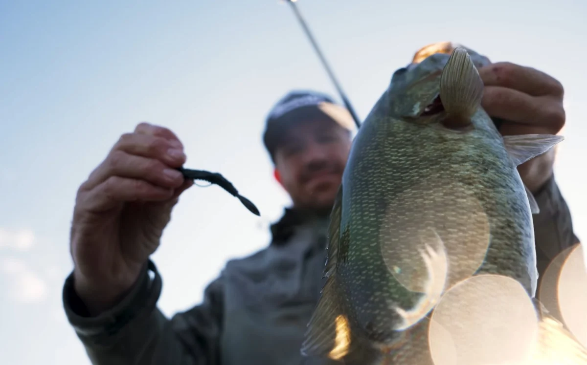 Jacob Wheeler Triumphs at Bass Pro Shops REDCREST 2024 as Elite Anglers Tackle Table Rock Lake with Specialized Strategies