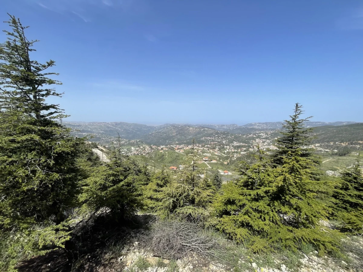 Lebanon’s Resilient Music Scene Amplifies Calls for Aid Amidst Escalating Conflict