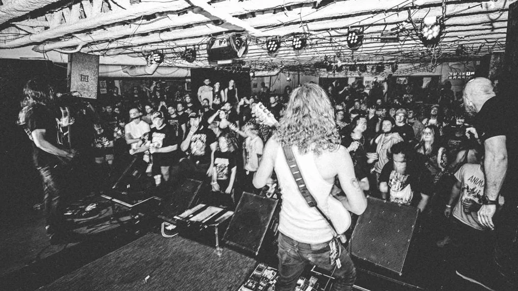 Valley of The Wolf Ignites Anticipation with New Single Premiere and Upcoming Album Release