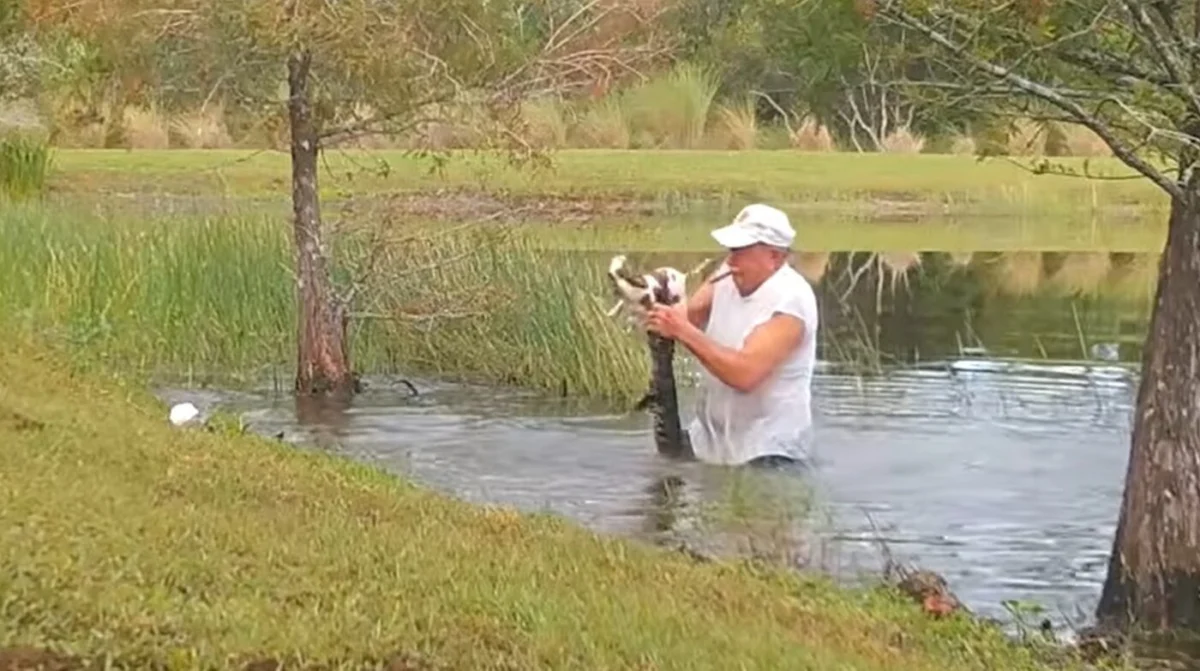 Florida Man Richard Wilbanks Saves Puppy From Alligator Attack Highlighting Human-Wildlife Conflict Risks in Residential Areas