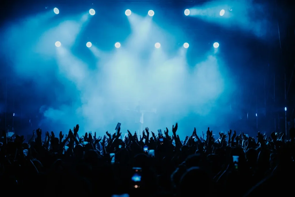 Crowd at a music festival.