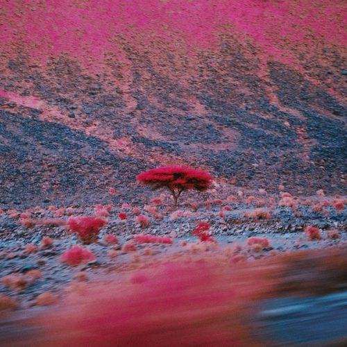 O’Flynn – Kairos