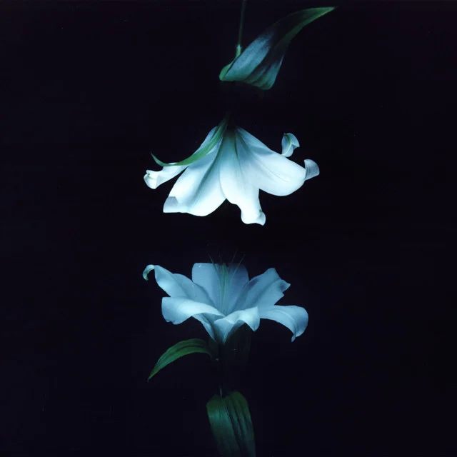 Wasia Project Returns With Cinematic Debut Album Nocturne A Masterclass in Sibling Synergy and Genre-Blending Artistry