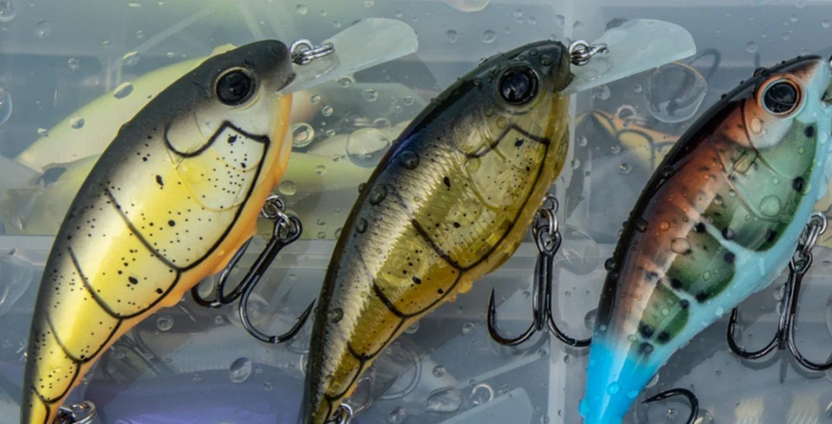 Mastering the Fall Bass Transition: The Ultimate Crankbait Guide for Cooler Waters